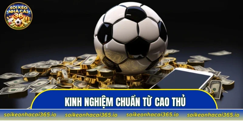 Kinh nghiệm chuẩn từ cao thủ