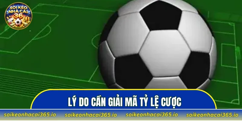 Lý do cần giải mã tỷ lệ cược