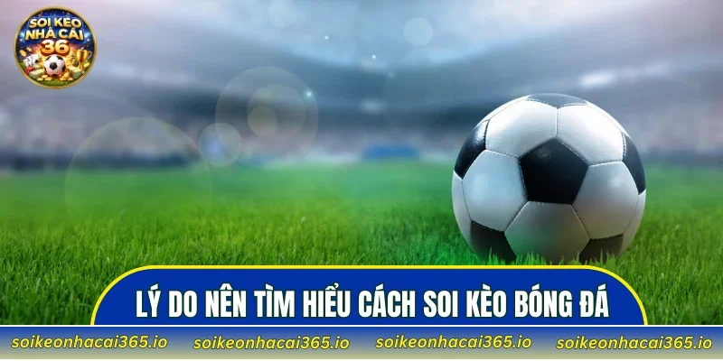 Lý do nên tìm hiểu cách soi kèo bóng đá trước khi đặt cược