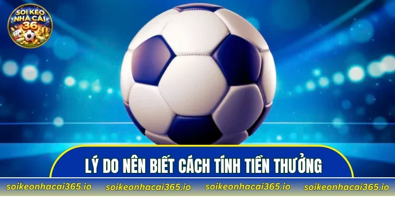 Lý do người tham gia nên biết cách tính tiền thưởng