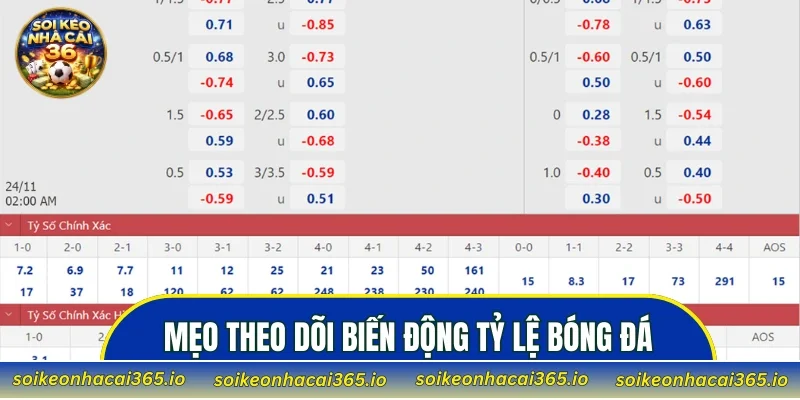 Mẹo theo dõi biến động tỷ lệ bóng đá trước giờ bóng lăn