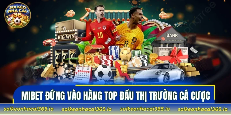 MIBET đứng vào hàng top đầu thị trường cá cược