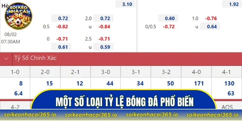 Một số loại tỷ lệ bóng đá phổ biến hiện nay