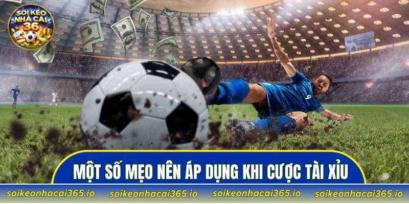 Một số mẹo nên áp dụng khi cược tài xỉu
