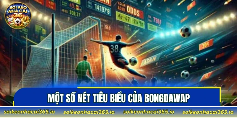 Một số nét tiêu biểu của bongdawap