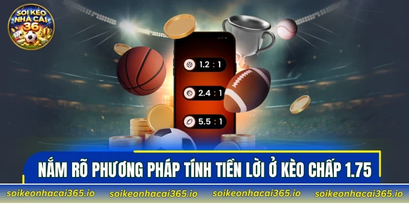 Nắm rõ phương pháp tính tiền lời ở kèo chấp 1.75