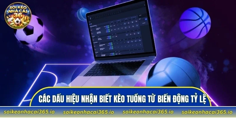 Các dấu hiệu nhận biết kèo tuồng từ biến động tỷ lệ