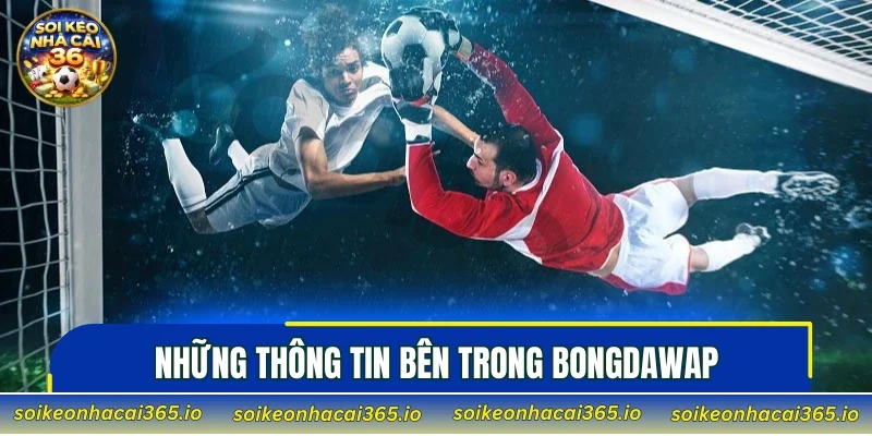 Những thông tin bên trong bongdawap