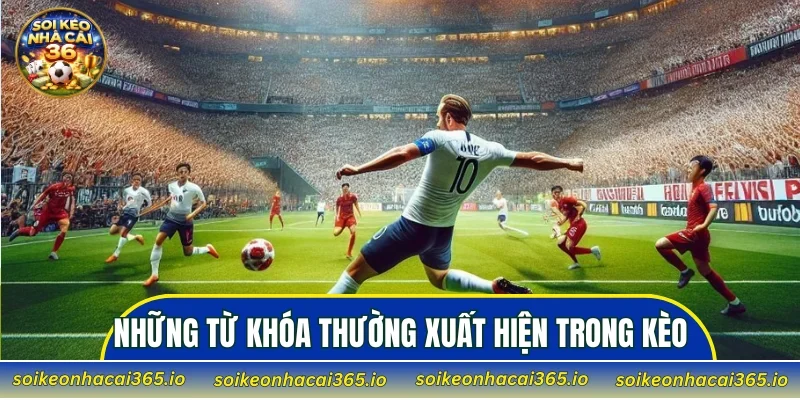 Những từ khóa thường xuất hiện trong kèo