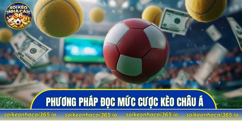 Phương pháp đọc các mức cược kèo châu Á