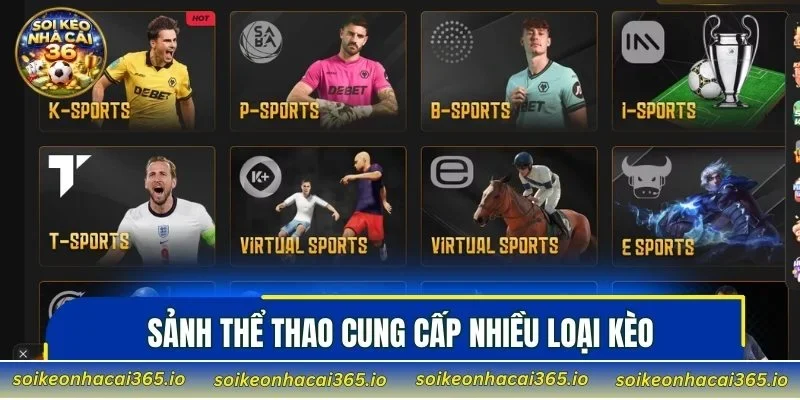Sảnh thể thao cung cấp nhiều loại kèo
