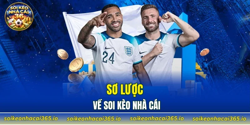 Sơ lược về Soi Kèo Nhà Cái