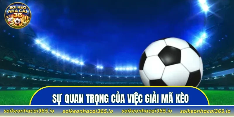 Sự quan trọng của việc giải mã kèo