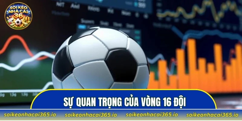 Sự quan trọng của vòng 16 đội
