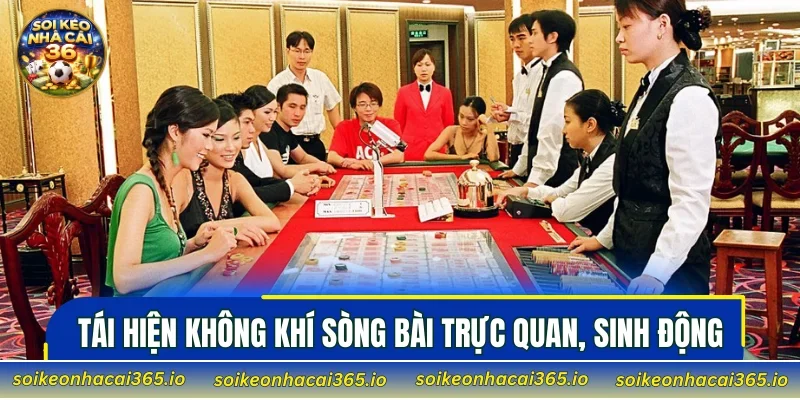 Tái hiện không khí sòng bài trực quan, sinh động