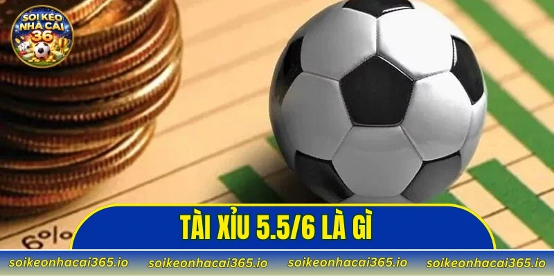 Tài Xỉu 5.5/6 là gì