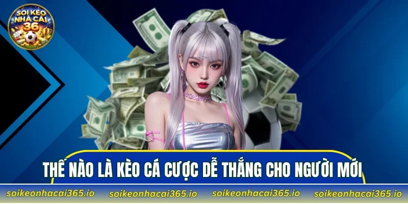 Thế nào là kèo cá cược dễ thắng cho người mới