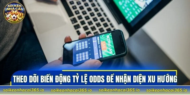 Theo dõi biến động tỷ lệ odds để nhận diện xu hướng