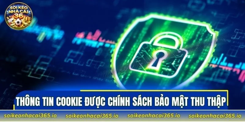 Thông tin Cookie được chính sách bảo mật thu thập