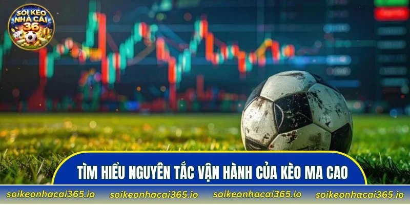 Tìm hiểu nguyên tắc vận hành của Kèo Ma Cao