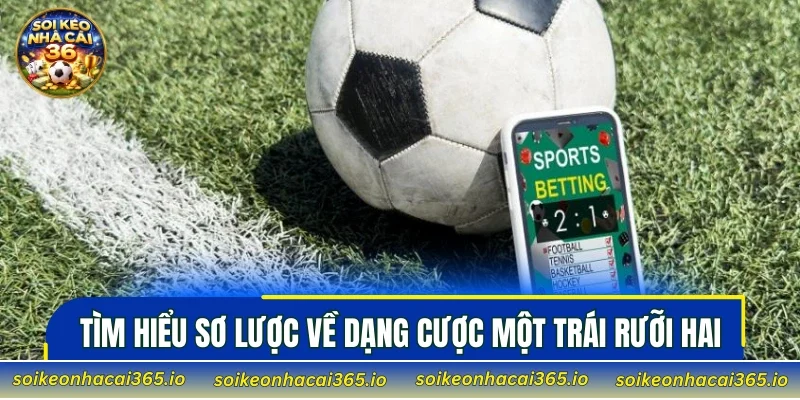 Tìm hiểu sơ lược về dạng cược một trái rưỡi hai