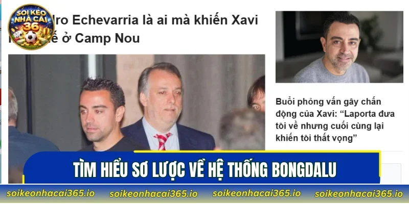 Tìm hiểu sơ lược về hệ thống Bongdalu