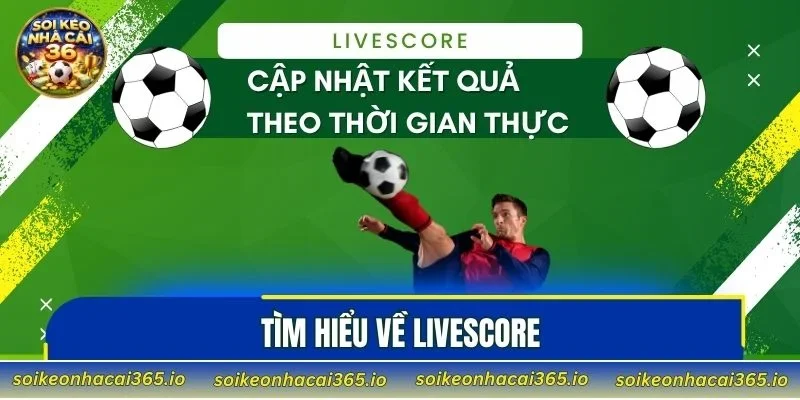 Tìm hiểu về Livescore