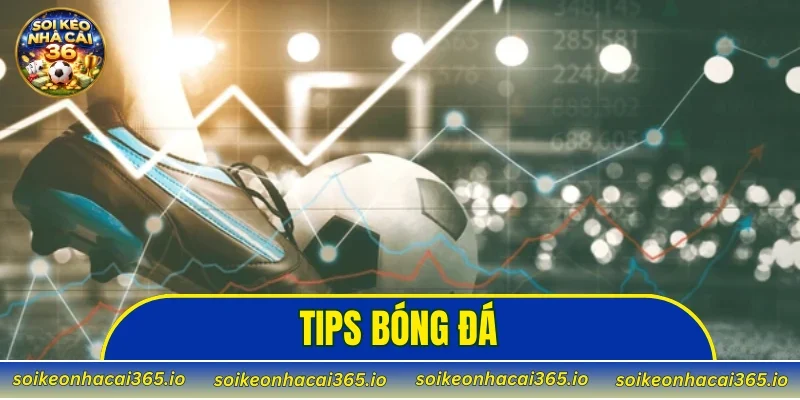 tips bóng đá