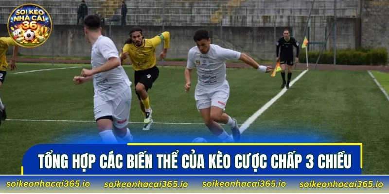 Tổng hợp các biến thể của Kèo Cược chấp 3 chiều