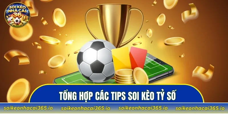 Tổng hợp các tips soi kèo tỷ số được nhiều người áp dụng