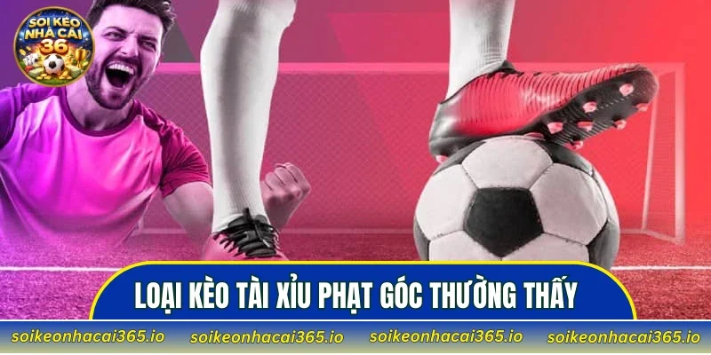 Tổng hợp những loại kèo tài xỉu phạt góc thường thấy