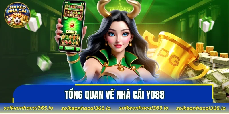 Tổng quan về nhà cái YO88