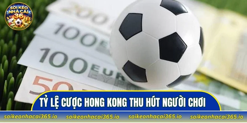 Tỷ lệ cược Hong Kong thu hút người chơi đông đảo