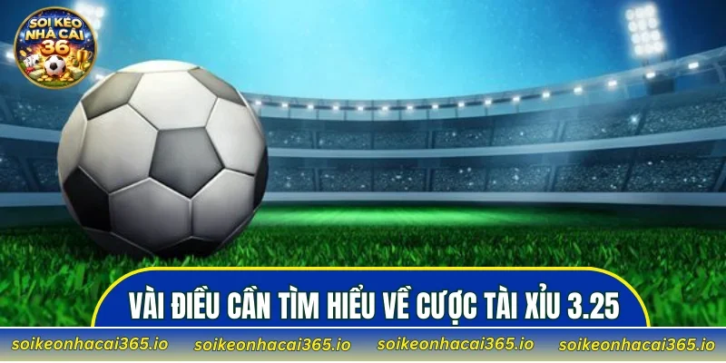Vài điều cần tìm hiểu về cược tài xỉu 3.25