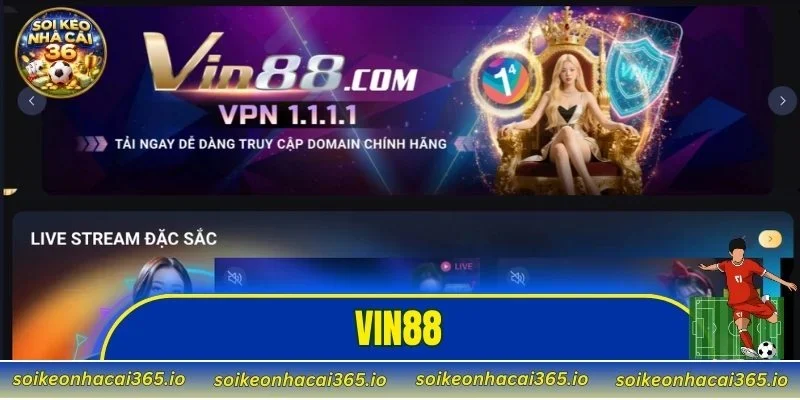 VIN88