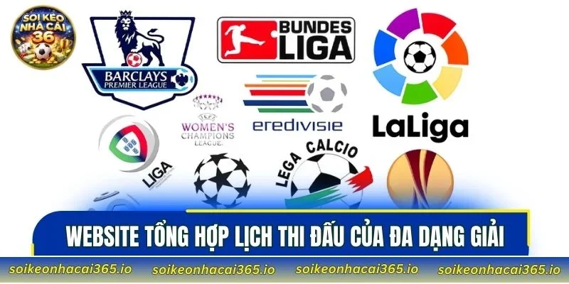 Website tổng hợp lịch thi đấu của đa dạng giải