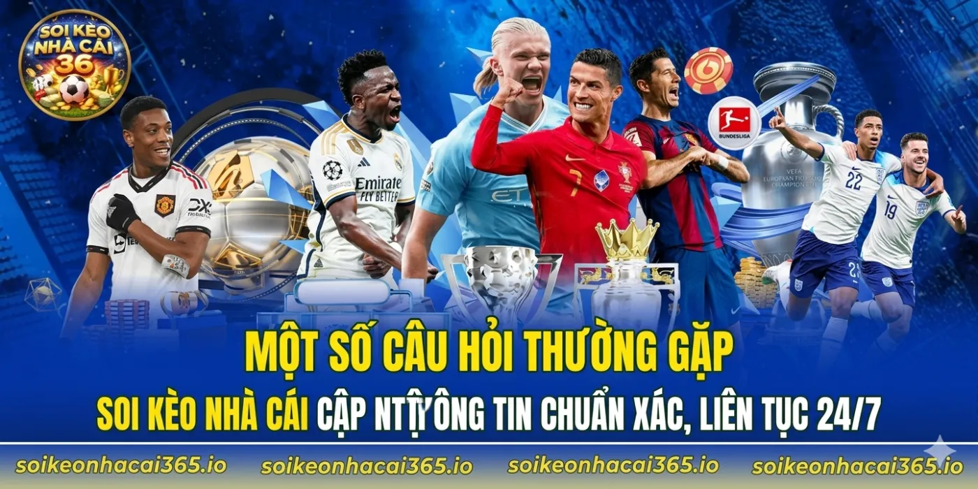 5 giải đấu mà chuyên trang đang cung cấp