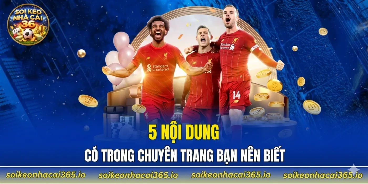 5 nội dung có trong chuyên trang bạn nên biết