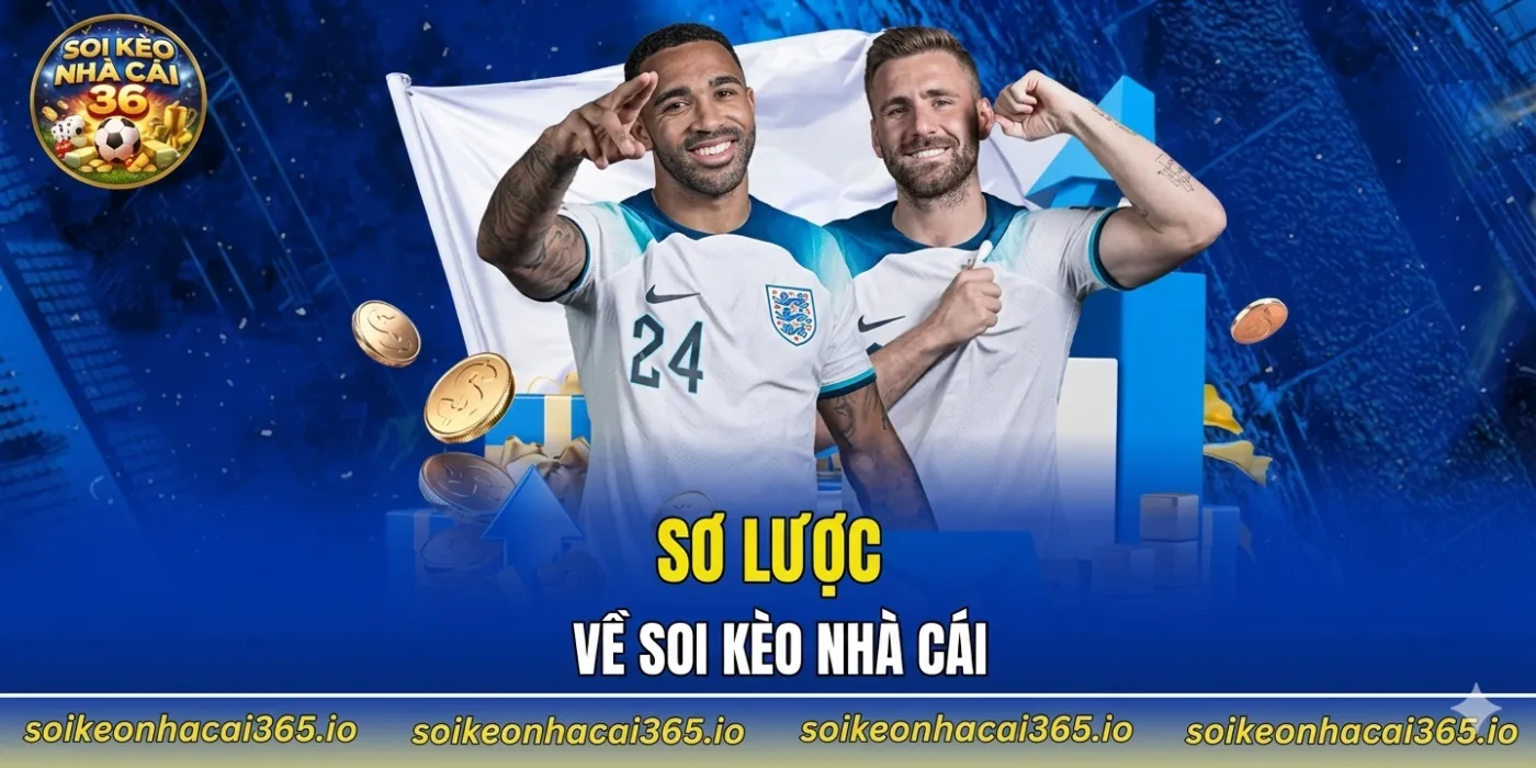 sơ lược về soi kèo nhà cái