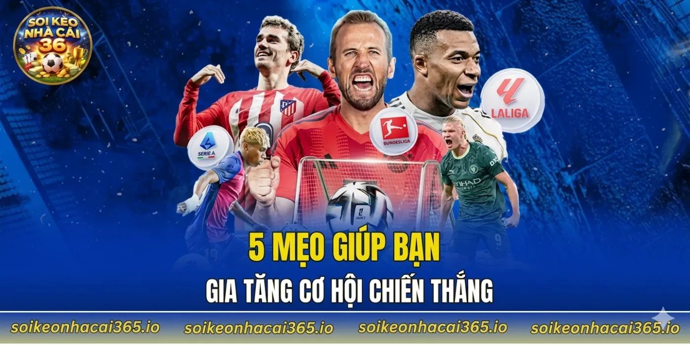 5 mẹo giúp bạn gia tăng cơ hội chiến thắng